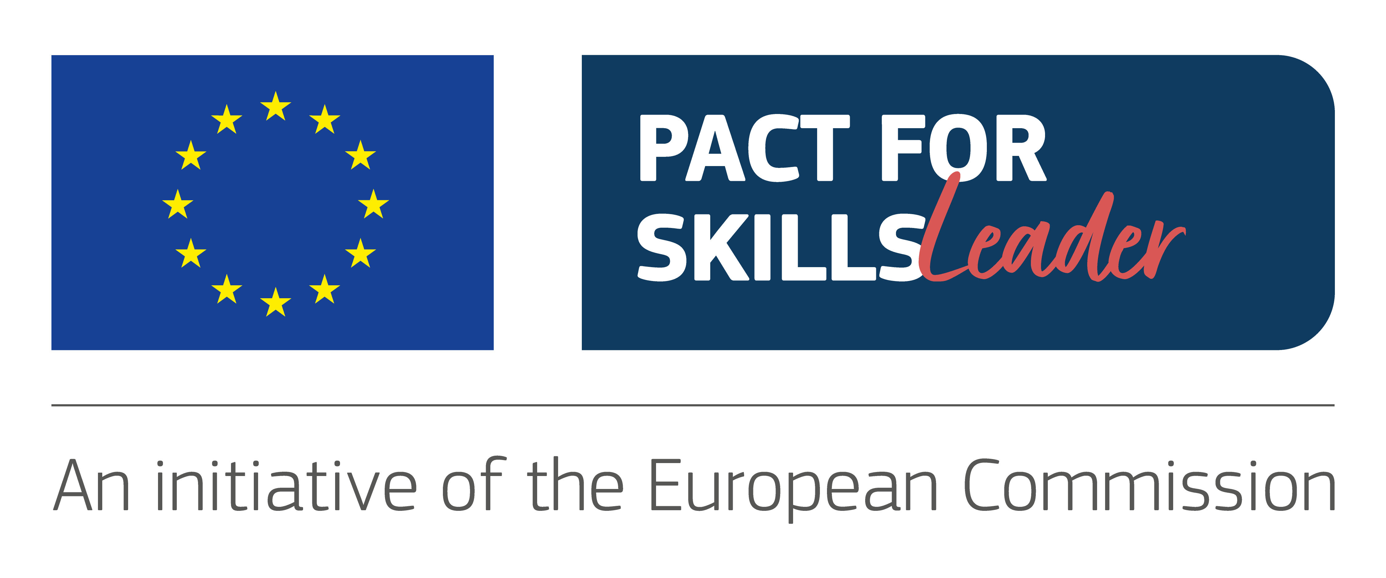 Pact for skills Leader